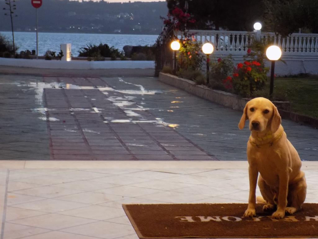 Galaxy Hotel Argostoli  Ngoại thất bức ảnh